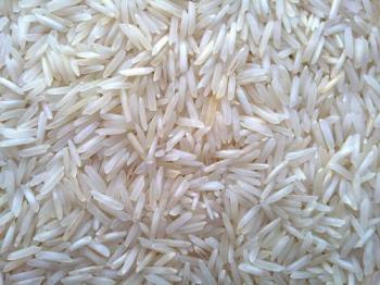 basmati-rice-2892455_looking for distributors